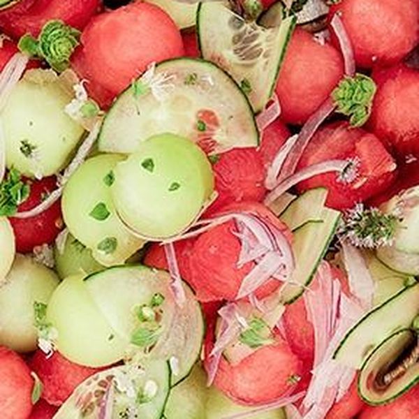 Ricerca & Degustazione